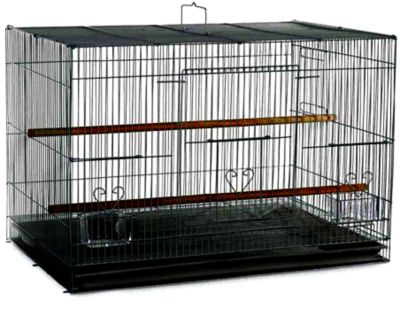 A&E Cage 24 in. x 16 in. Light Wire Flight Cage, 503 BLACK SP