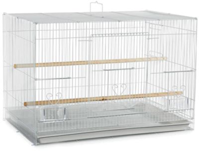 A&E Cage 24 in. x 16 in. Light Wire Flight Bird Cage, White