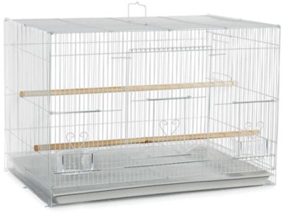 A&E Cage 30 in. x 18 in. Light Wire Flight Cage, 504 WHITE SP