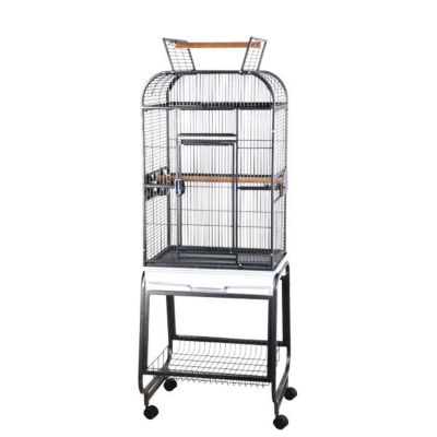 A&E Cage 22 in. x 17 in. Play Top Bird Cage with Plastic Base, Black