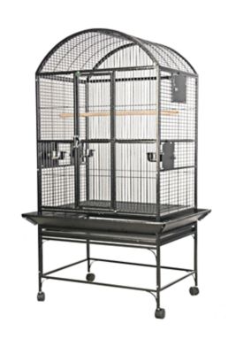 A&E Cage 24 in. x 24 in. Dometop Bird Cage, 3/4 in. Bar Space, Black