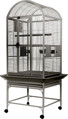 A&E Cage 24 in. x 24 in. Dometop Bird Cage, 3/4 in. Bar Space, Stainless Steel