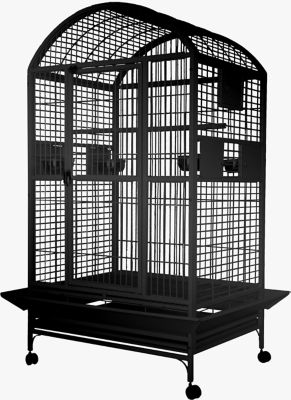 A&E Cage 36 in. x 28 in. Dometop Bird Cage, 1 in. Bar Space, Black