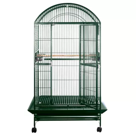 A&E Cage 36 in x 28 in Dometop cage 1 in Bar space 9003628 GREEN Pet Bird Cages