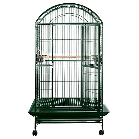 A&E Cage 36 in. x 28 in. Dometop Cage 1 in. Bar Space, 9003628 GREEN