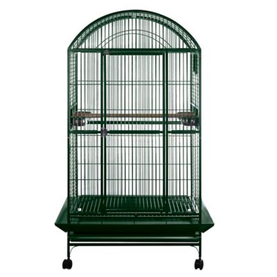 A&E Cage 40 in. x 30 in. Dometop Cage 1 in. Bar Space, 9004030 GREEN