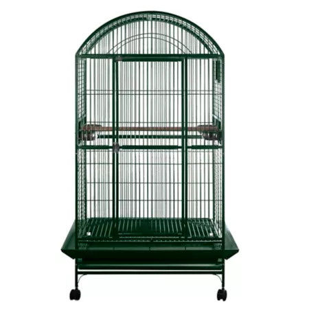 A&E Cage Dometop 40 in x 30 in Bird Cage 1 in Bar Space Green Pet Bird Cages