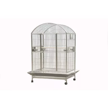 A&E Cage 48 in x 36 in Dometop Cage 1 in Bar Area 9004836 PLATINUM Pet Bird Cages