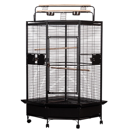 A&E Cage 32 in. x 32 in. Corner Bird Cage with Playpen, Black