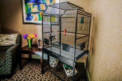 Image showing  32 in. x 21 in. Elegant Flight Bird Cage, Black