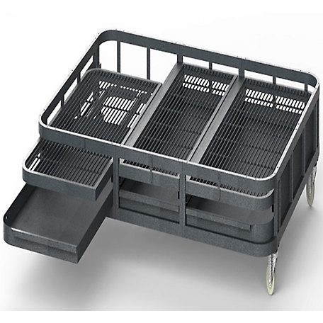 A&E Cage 62 in. Aviary Base with Trays & Grates, WI6262BS BLACK