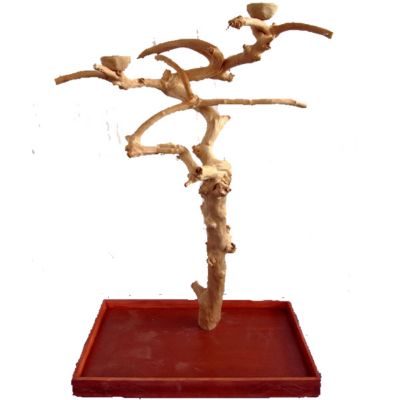 A&E Cage Java Wood Tree-Small Base, AE250M