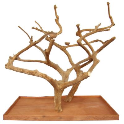 A&E Cage Large Double Java Tree at Tractor Supply Co.
