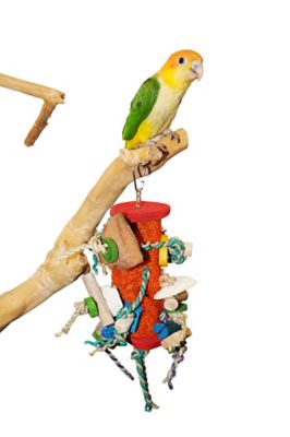 Image showing  Happy Beaks Medium Fun Spongy Bird Toy