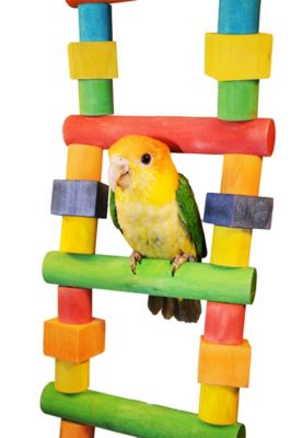 Image showing  Medium Wood Bird Ladder, 7 in. x 2 in. x 36 in.