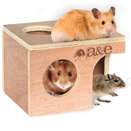 A&E Cage Nibbles Medium Hamster/Gerbil Hut, NB002