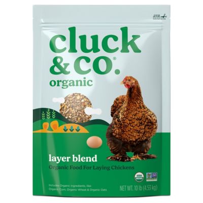 Cluck & Co. Organic Layer Blend Chicken Feed, 10 lb. Bag