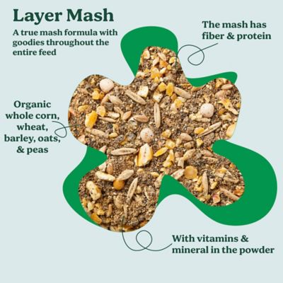 Image showing  Organic Layer Blend Chicken Feed