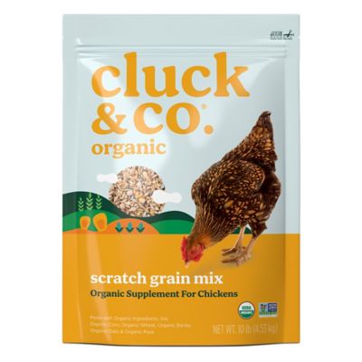 Cluck & Co. Organic Scratch Grain Mix Chicken Treats, 10 lb. Bag