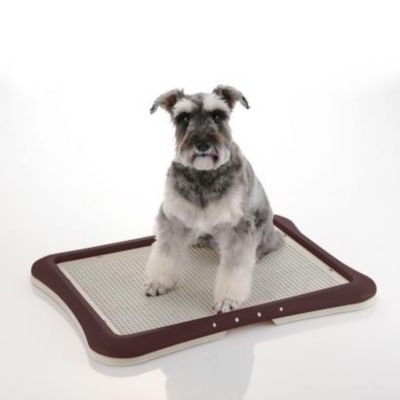 Image showing  Unscented PAW TRAX Mesh Puppy Potty Training Tray