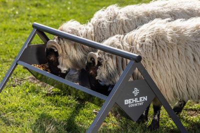 Image showing  4 ft. V Trough Feeder