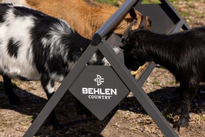 Image showing  4 ft. V Trough Feeder