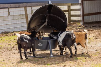 Image showing  1.9 cu. ft. Sheep and Goat Windvane Feeder