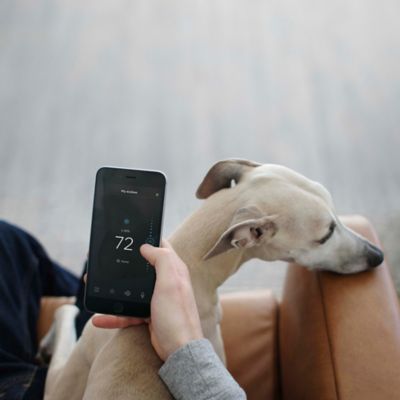 Image showing  Smartsensor Temperature and Occupancy Detectors, 2-Pack