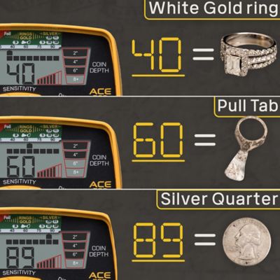 Image showing 8 th Garrett Ace 300 Metal Detector