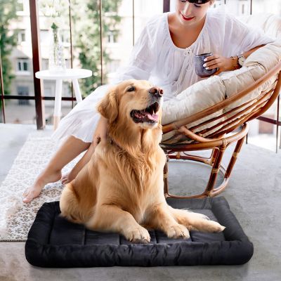 Image showing 4 th Precious Tails Xtra Tuff Chew and Water-Resistant Dog Crate Mat