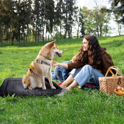 Image showing 5 th Precious Tails Xtra Tuff Chew and Water-Resistant Dog Crate Mat