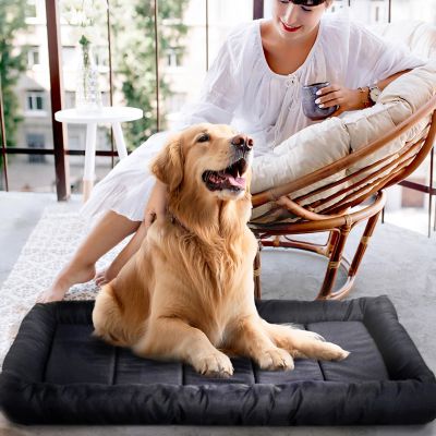 Image showing  Xtra Tuff Chew- and Water-Resistant Dog Crate Mat