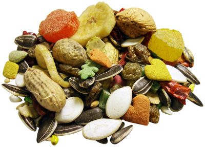 Image showing  Gourmet Foraging Feast Parrot and Conure Food