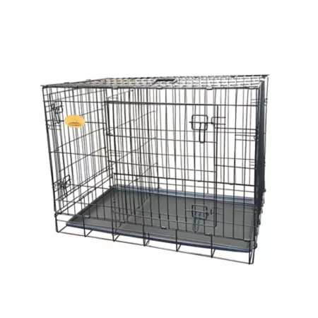 KennelMaster 2-Door Collapsible Metal Pet Crate 48 in. Wire Crates