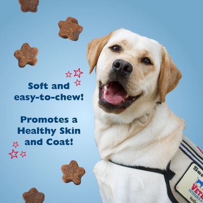 Image showing  America's VetDogs Skin and Coat Formula Soft Dog Treats, 14 oz.