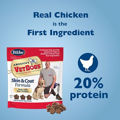 Image showing  America's VetDogs Skin and Coat Formula Soft Dog Treats, 14 oz.