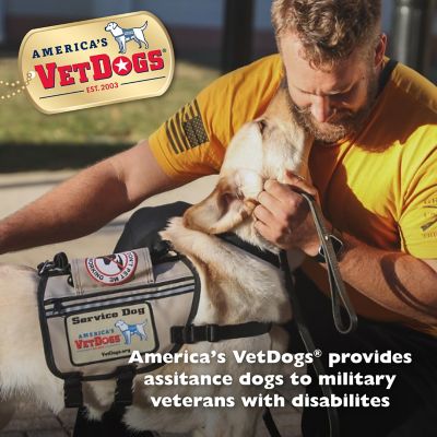 Image showing  America's VetDogs Skin and Coat Formula Soft Dog Treats, 14 oz.
