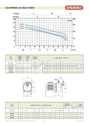 Image showing  0.75 HP 1 in. Electric-Powered 110/220V 13GPM 125 ft. CAM80 Shallow Well 304 in. Jet Pump