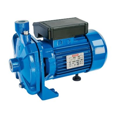 Speroni 1 HP 1 in. Electric-Powered 110/220V 33GPM 95 ft. CM32 Centrifugal Cast-Iron Pump