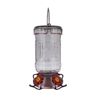 Royal Wing Large Clear Glass Water Jug Hummingbird Feeder, 38 oz. Capacity