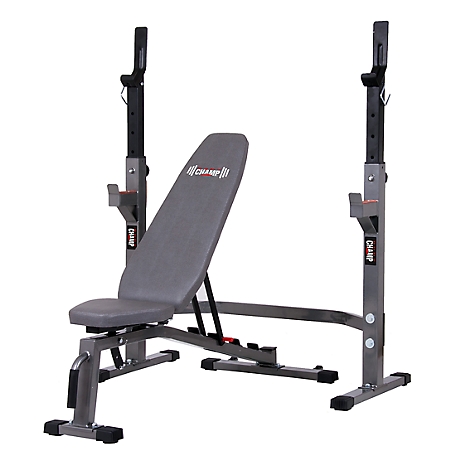 Body Flex Sports 2 pc. Set Olympic Weight Bench and Rack Stand at