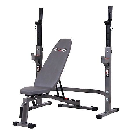 Body Flex Sports 2 pc. Set Olympic Weight Bench and Rack Stand at Tractor  Supply Co.