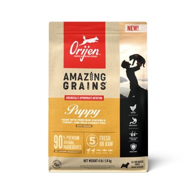 Orijen High Protein Amazing Grains Puppy Dry Dog Food