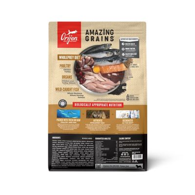 Image showing  High Protein Amazing Grains Puppy Dry Dog Food