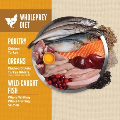 Image showing  High Protein Amazing Grains Puppy Dry Dog Food