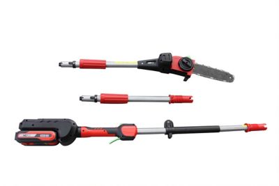 Image showing  10 in. 40V Cordless Pole Saw, Battery and Charger Included