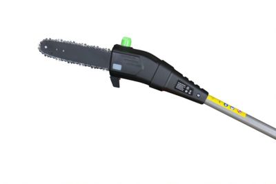Image showing  10 in. 40V Cordless Pole Saw, Battery and Charger Included