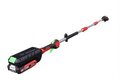 Image showing  10 in. 40V Cordless Pole Saw, Battery and Charger Included