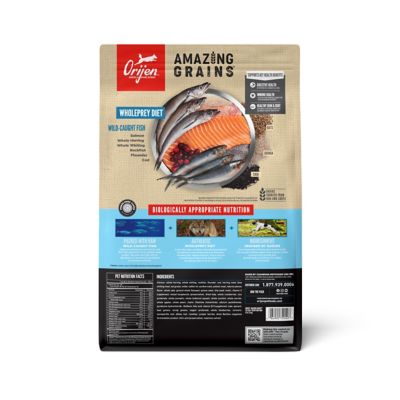 Image showing  High Protein Amazing Grains Six Fish Recipe Dry Dog Food