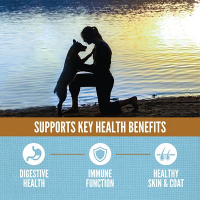 Image showing  High Protein Amazing Grains Six Fish Recipe Dry Dog Food, 22.5 lb.